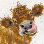 Moo (image for) Moo